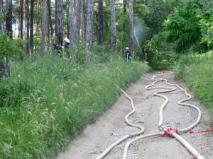 160617-waldbranduebung-001